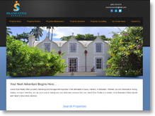 Real Estate Designer Client Website