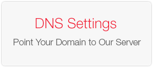 DNS Settings