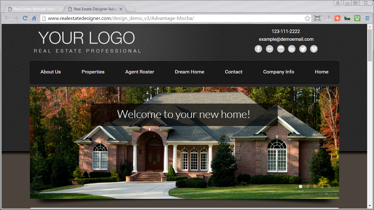 IDX Real Estate Websites for Realtors ®