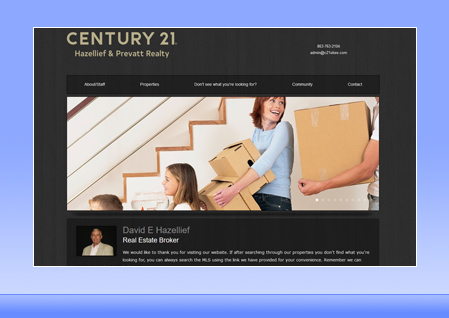 Real Estate Designer Client Website Example