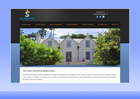 Real Estate Designer Client Website Example