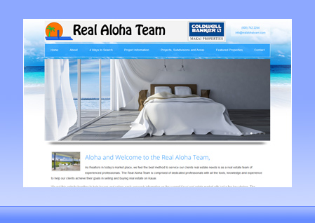 Real Estate Designer Client Website Example